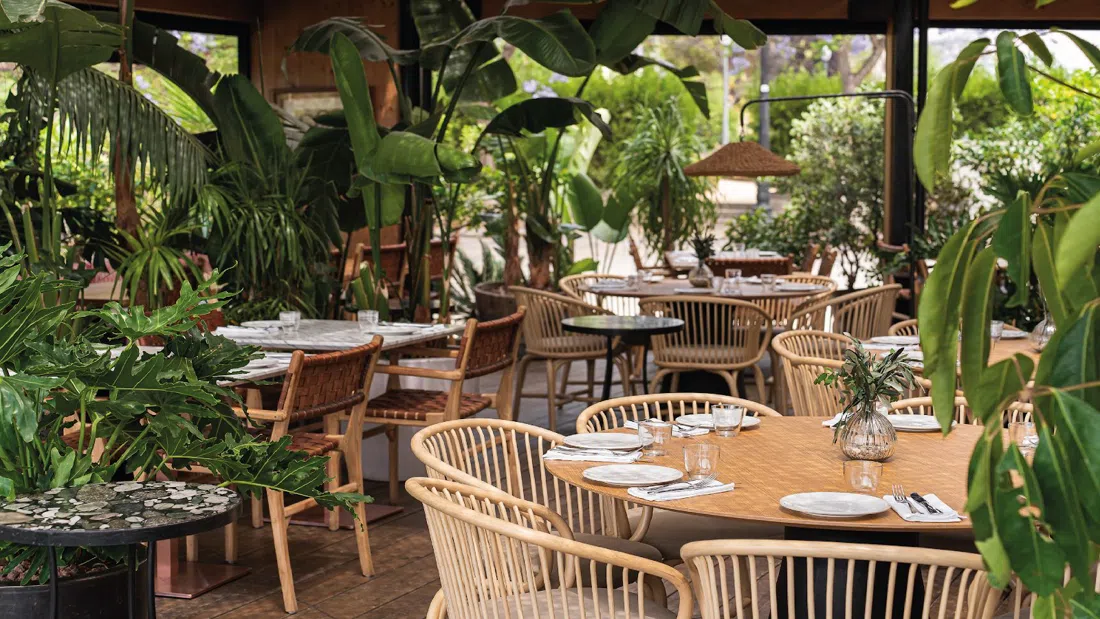 Terraza Martínez, 巴塞罗那