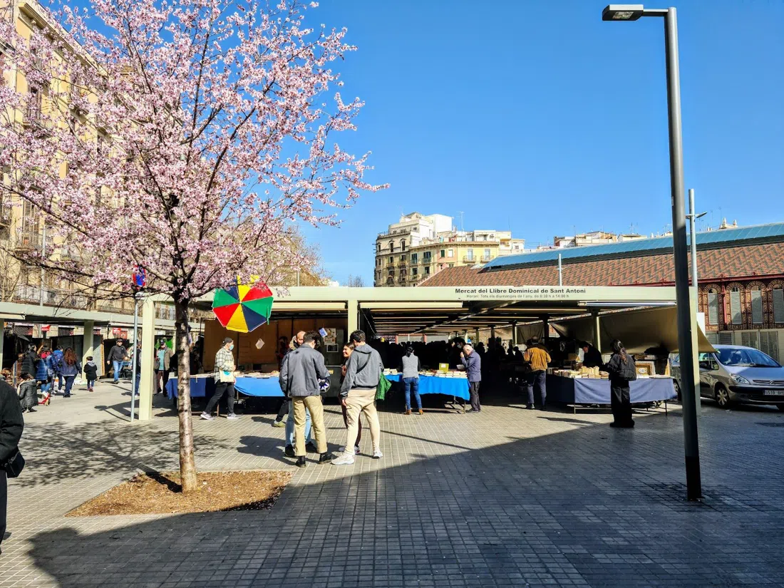 Mercat Dominical de Sant Antoni (bok- og myntmarked), Barcelona